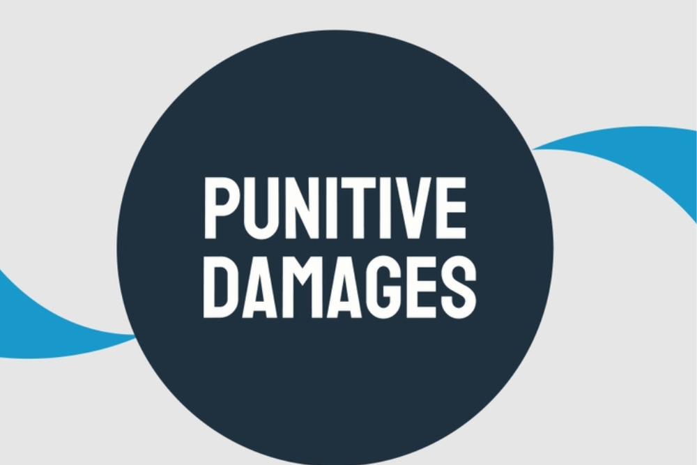 Punitive damages: Extra damages given in a lawsuit as a punishment.
